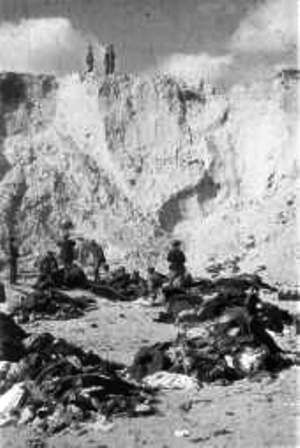Babi-Yar Soviet POW's work as slave labourers in the ravine